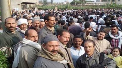 Photo of عمال «وبريات سمنود» بالغربية يضربون عن العمل بعد رفض مطالبهم