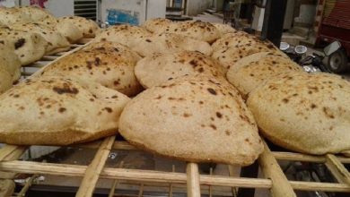 Photo of «رغيف الخبز» شريان حياة..ومصيلحي يكشف حقيقة منظومة «الدعم النقدي»