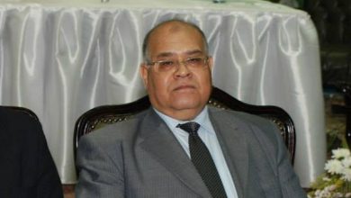 Photo of الشهابي: مشروعات الرئيس تعالج احتياجات مصر في جميع المجالات