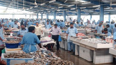 Photo of محافظ بورسعيد: إنشاء سوق عالمي للأسماك بالقنال الداخلى