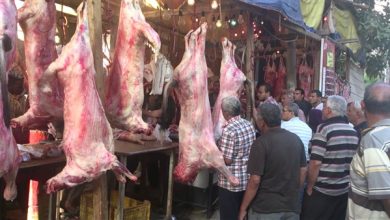 Photo of الزراعة: تكثيف الحملات الرقابية على أسواق اللحوم