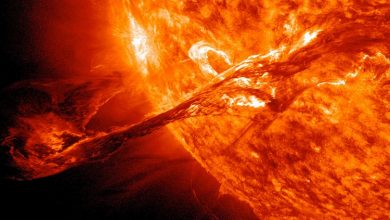 Photo of العلماء يحذرون من شمس باردة في الأعوام القادمة