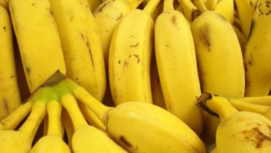 Photo of مزارعون يابانيون يبتكرون  نوع من فاكهة الموز يمكن أكله بشكل كامل لا يحتاج إلى تقشير
