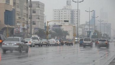 Photo of ارتفاع بدرجات الحرارة اليوم وطقس دافئ نهارا.. والعظمى بالقاهرة 24 درجة