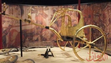 Photo of اخر عجلات توت الحربية تصل المتحف الكبير