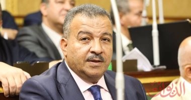 Photo of رئيس صحة النواب يطالب بزيادة موازنة علاج نفقة الدولة   لـ8مليارجنيه