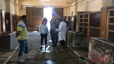 Photo of نائب وزير الزراعة تتفقد مركز التلقيح الصناعي والتحسين الوراثي بالعباسية