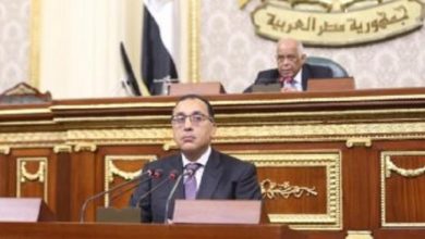 Photo of البرلمان يوافق مبدئيًا على مشروع قانون منح الجنسية المصرية للأجانب مقابل الاستثمار