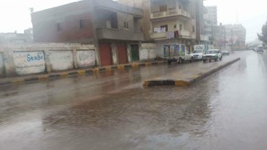 Photo of الأرصاد :سقوط أمطار على مناطق من السواحل الشمالية وشمال الوجه البحرى ومدن القناة