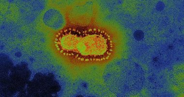 Photo of ارتفاع إصابات فيروس كورونا فى الهند لـ 8 ملايين