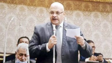 Photo of النائب حسن خليل عن البرلمان الأوروبي :إدعاءات كاذبة تروج حول مصر