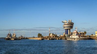 Photo of المركز الإعلامي : ميناء دمياط يستقبل 11 سفينة متنوعة خلال 24 ساعة