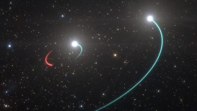 Photo of علماء الفلك يكتشفون “بذرة ” نجم أسود قريبا من الأرض