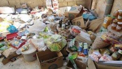 Photo of «صحة الغربية» تفحص 13304 منشآت غذائية وتتحفظ على 314 طنا خلال 2017