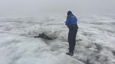Photo of توقف الحياة فى بريطانيا بسبب الجليد