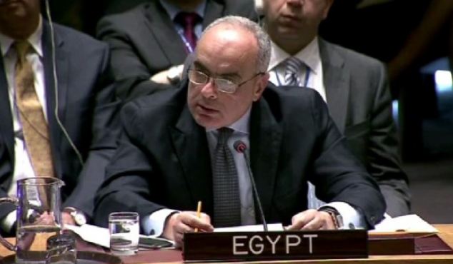 السفير المصري لدى الأمم المتحدة، عمرو أبو العطا