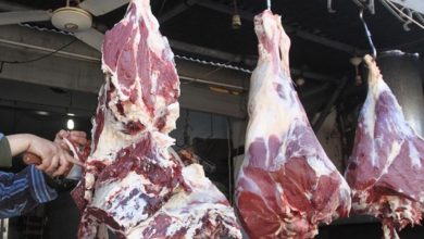 Photo of أسعار اللحوم اليوم الخميس بالسوق المحلية