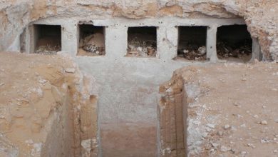 Photo of بالصور .. الكشف عن مقبرة بالعلمين تعود للقرن الثاني الميلادي
