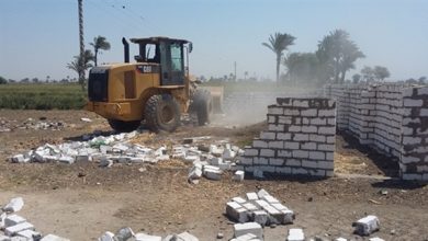 Photo of وزارة الموارد المائية والري تواصل إزالة التعديات على أراضي طرح النهر بحلوان