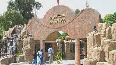 Photo of حدائق الحيوان تستقبل الآلاف فى «عيد الميلاد» وتفتح «المتحف» للزوار