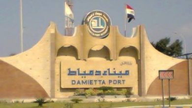 Photo of ميناء دمياط يستقبل 7 سفن حاويات وبضائع عامة
