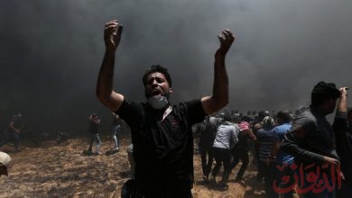 Photo of “أونروا” توجه نداء عاجلا للعالم من أجل غزة