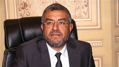 النائب عماد سعد حمودة: جولات الرئيس المكوكية أعادت لمصر مكانتها الدولية والإقليمية والإفريقية
