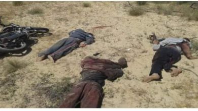 الداخلية تصفي 11 إرهابي في مغارة بمركز ديروط