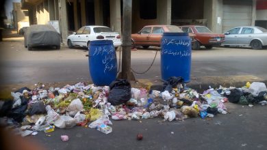 Photo of الوحدة المحلية بكفر الجزار ببنها تربط صناديق القمامة بالجنازير لمنع سرقتها