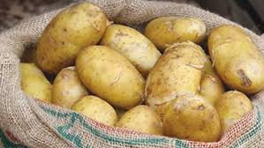 Photo of وزير الزراعة:  مد مهلة تخزين البطاطس في الثلاجات حتى أول ديسمبر