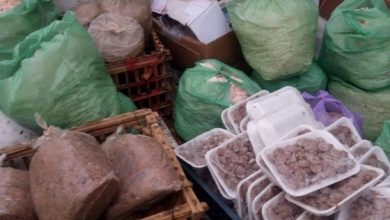 Photo of حملات تموينيه ورقابية على أسواق اللحوم بالغربية‎