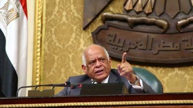Photo of رئيس النواب يطالب الحكومة بحسم أزمات عمال التشجير ومعلمي الحصة