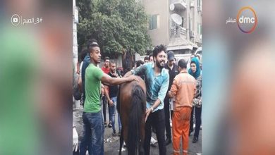 Photo of طبيب بيطري ينقذ حصانا من الموت ألقاه صاحبه فى الشارع (فيديو )
