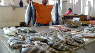 Photo of أسعار الأسماك في الأسواق اليوم.. البلطي بـ44 جنيها للكيلو