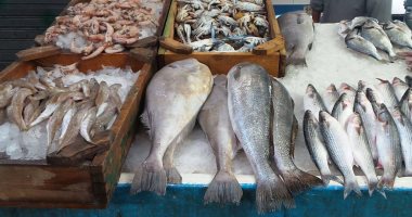 Photo of أسعار الأسماك اليوم بسوق العبور