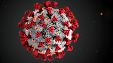 Photo of إصابات فيروس كورونا تتخطى 354 مليون إصابة في العالم