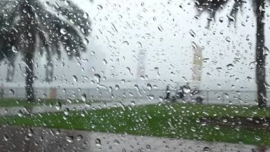 Photo of أمطار غزيرة ورعدية وانخفاض كبير بدرجات الحرارة المتوقعة بالقاهرة والمحافظات اليوم