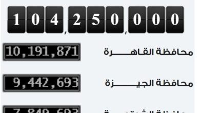 Photo of الإحصاء: مصر تسجل ربع مليون نسمة زيادة بعدد سكانها فى أقل من شهرين