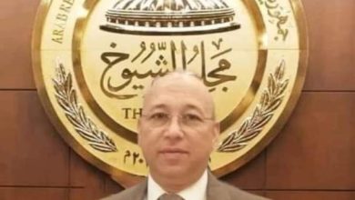 Photo of برلماني مصر حريصة على الانفتاح على افريقيا والعالم في الدواء
